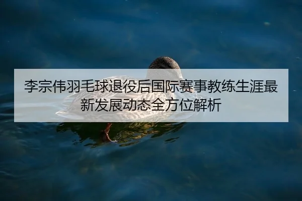 李宗伟羽毛球退役后国际赛事教练生涯最新发展动态全方位解析